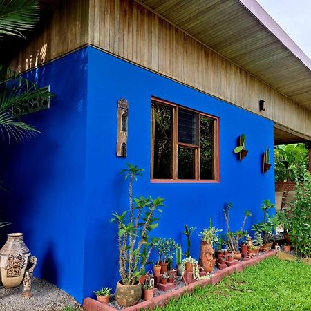 La Garita  Quinta Don Fernando B&B 외부 사진